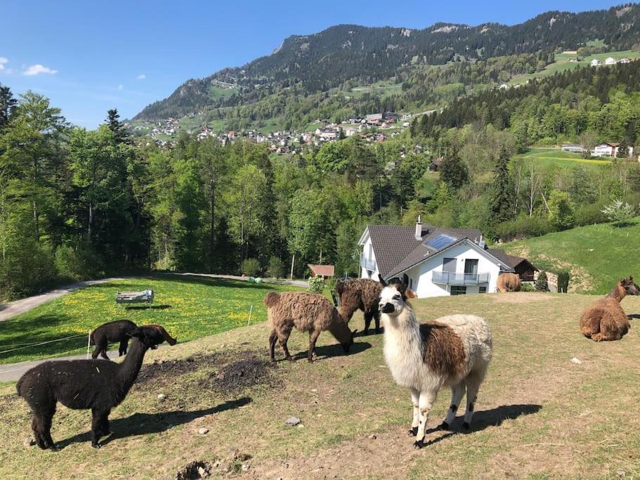 Jurte Beim Lama- & Alpakahof Triesenberg 호텔 외부 사진