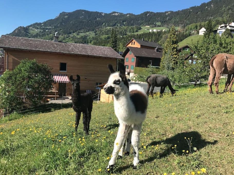 Jurte Beim Lama- & Alpakahof Triesenberg 호텔 외부 사진